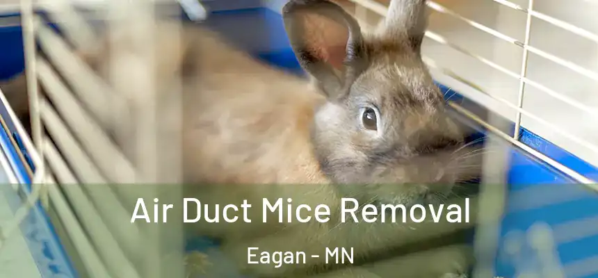 Air Duct Mice Removal Eagan - MN
