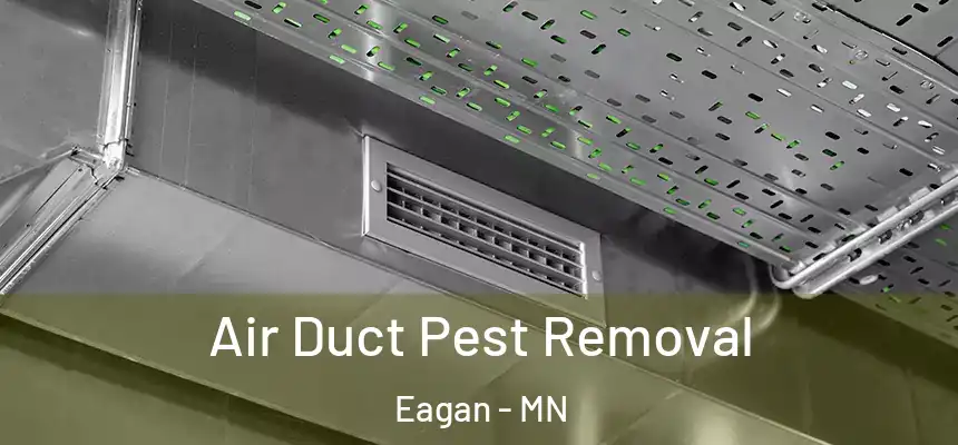 Air Duct Pest Removal Eagan - MN