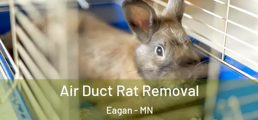 Air Duct Rat Removal Eagan - MN
