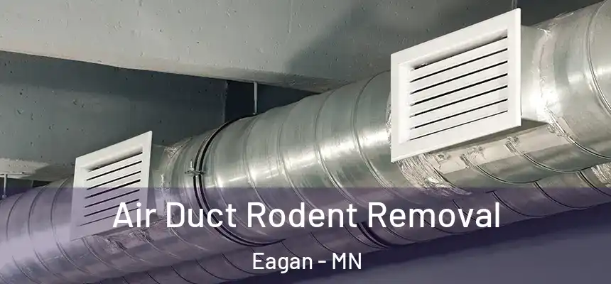Air Duct Rodent Removal Eagan - MN