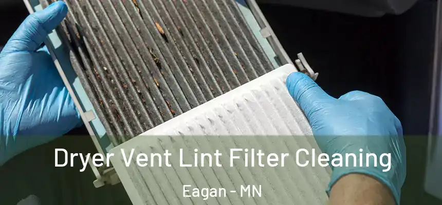 Dryer Vent Lint Filter Cleaning Eagan - MN