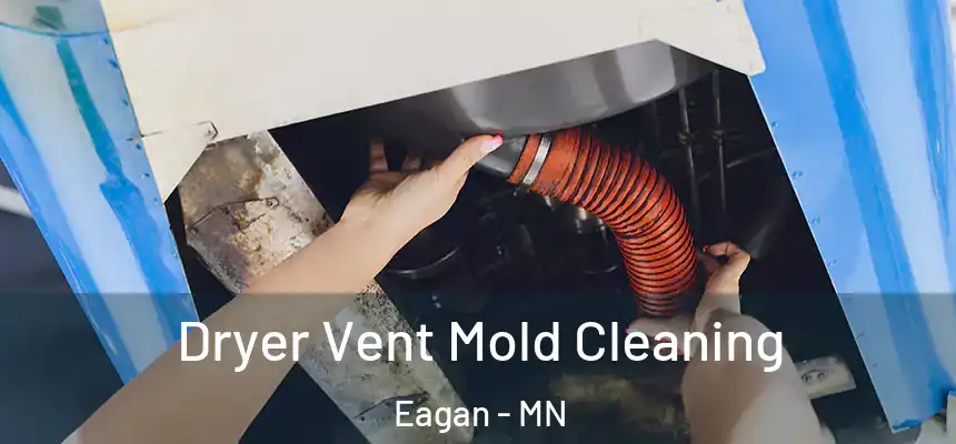 Dryer Vent Mold Cleaning Eagan - MN