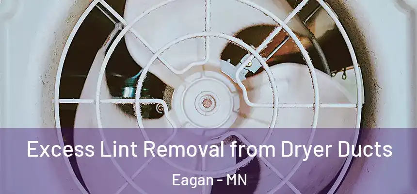 Excess Lint Removal from Dryer Ducts Eagan - MN
