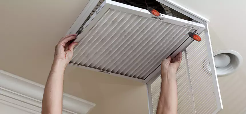 Preventive Cockroach-Proofing for Ducts in Eagan