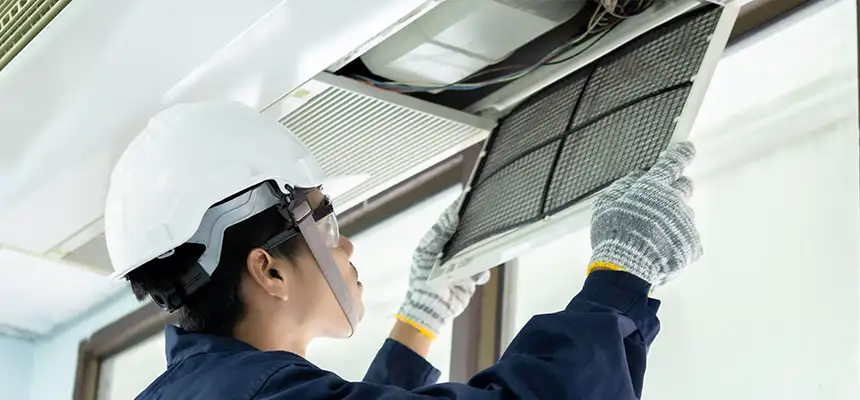 Our Lint Trap Cleaning Service Services in Eagan, MN