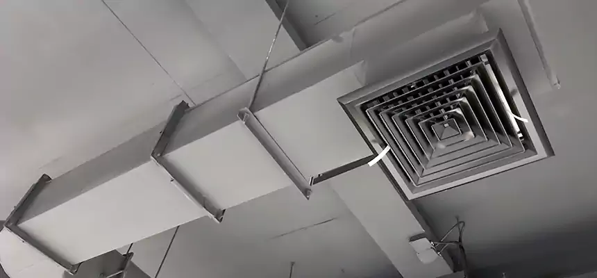 Our Pest Removal From Ducts Services in Eagan, MN