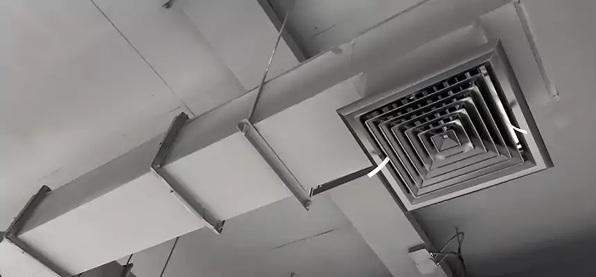 Our Rodent Droppings In Vents Services in Eagan, MN