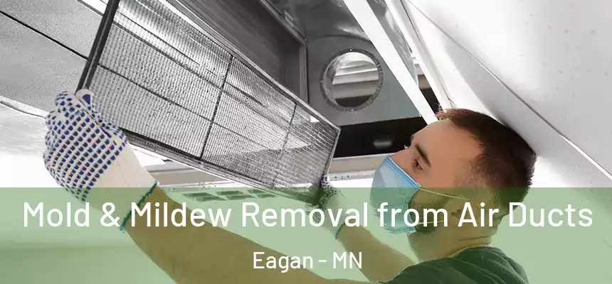 Mold & Mildew Removal from Air Ducts Eagan - MN