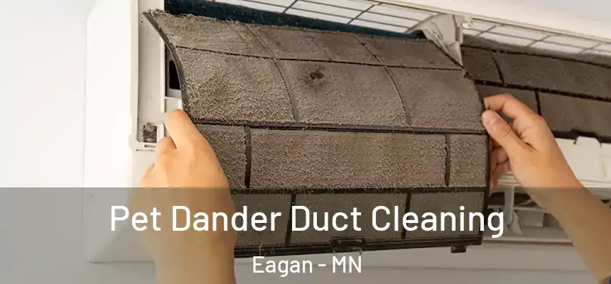 Pet Dander Duct Cleaning Eagan - MN