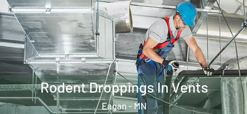  Rodent Droppings In Vents Eagan - MN