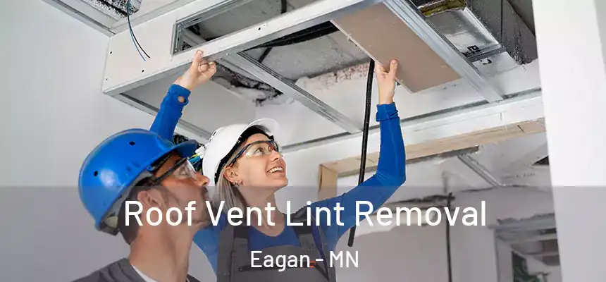Roof Vent Lint Removal Eagan - MN
