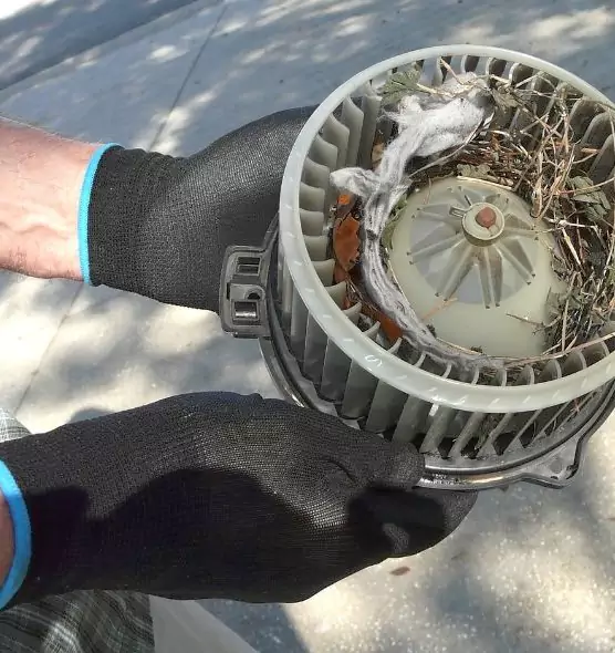 About Air Duct Mice Removal in Eagan, MN