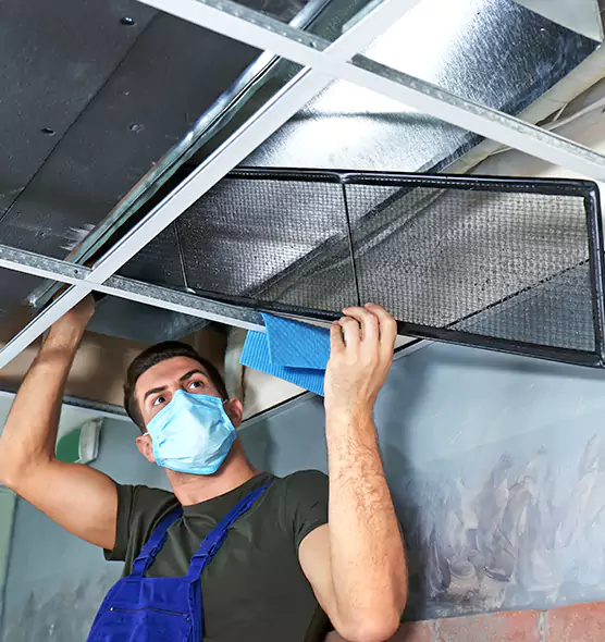Professional Air Duct Pollen Cleaning in Eagan, MN