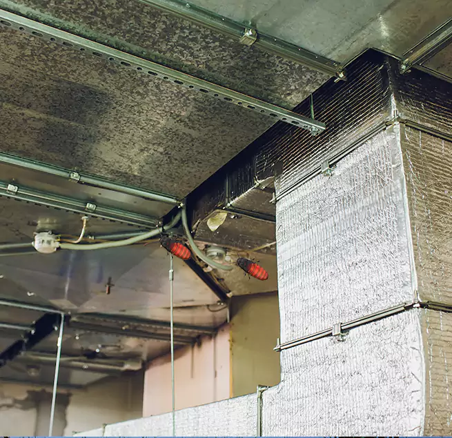 Why Homeowners & Businesses Trust Us in Eagan, MN?