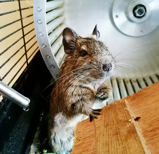 Why Homeowners & Businesses Trust Us Eagan, MN