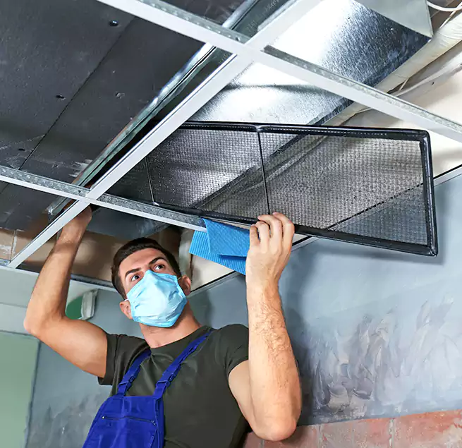 Why Homeowners Businesses Trust Us in Eagan, MN