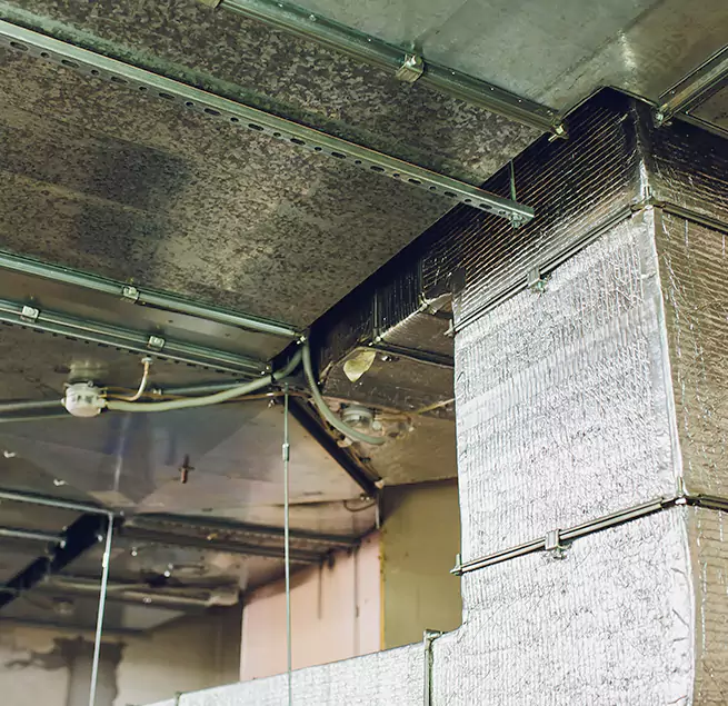 Why Homeowners & Businesses Trust Us in Eagan, MN?